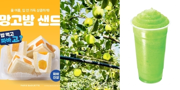 파리바게뜨 망고밤 샌드